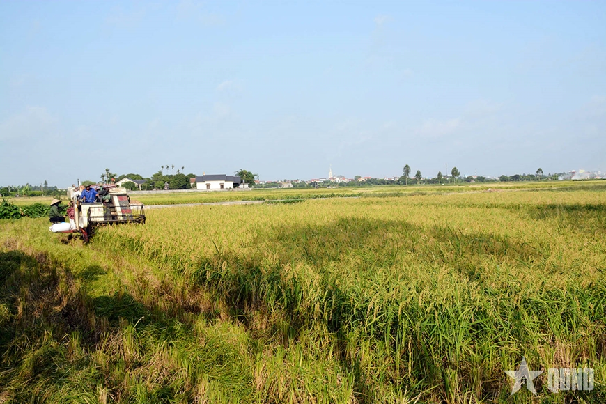 Cạnh tranh bằng việc nâng cao hơn nữa chất lượng sản phẩm nông nghiệp 
